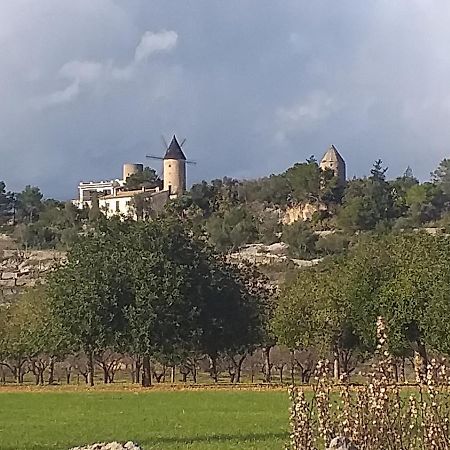 Villa Beatrice Sencelles Exteriér fotografie