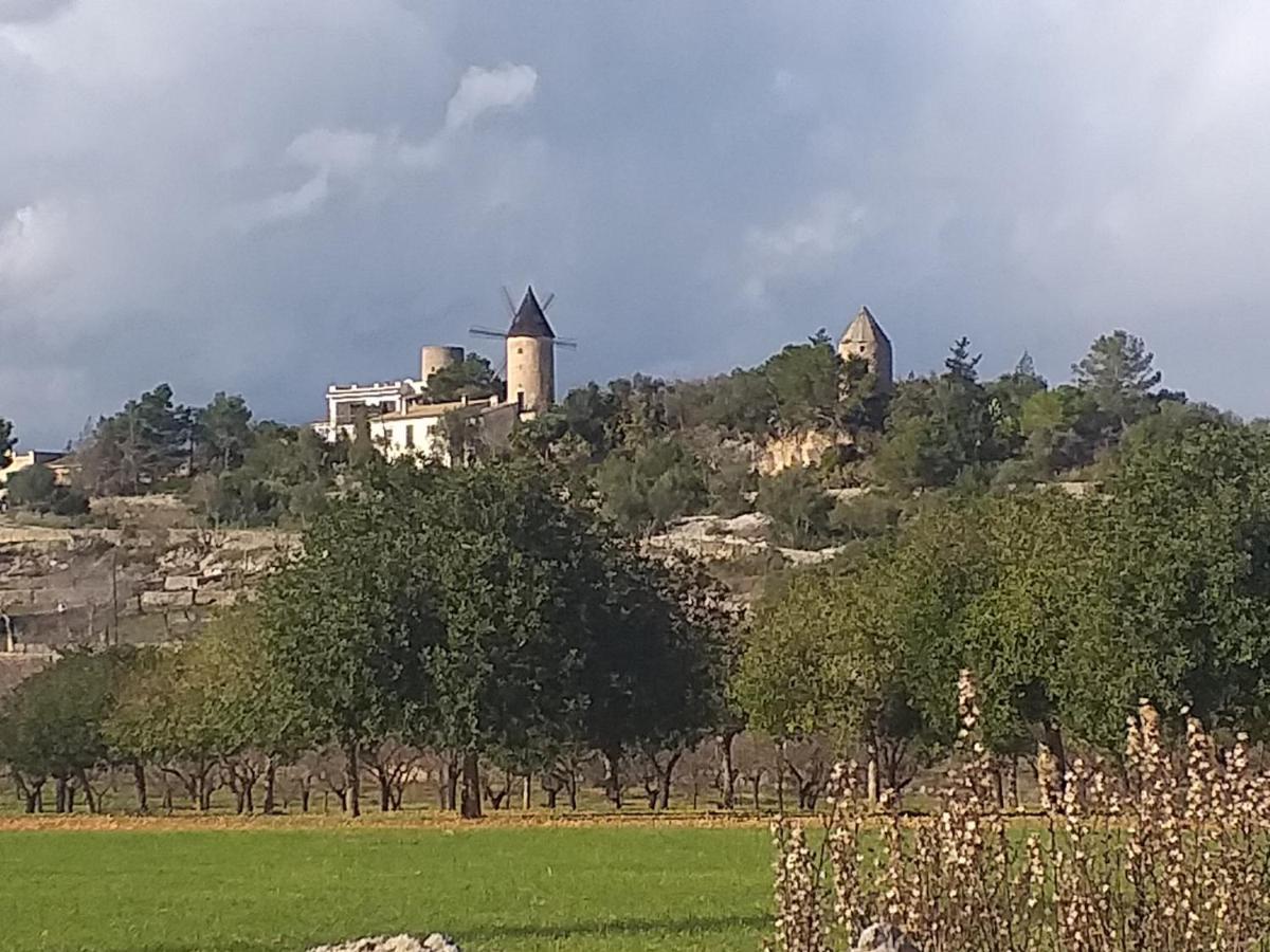 Villa Beatrice Sencelles Exteriér fotografie
